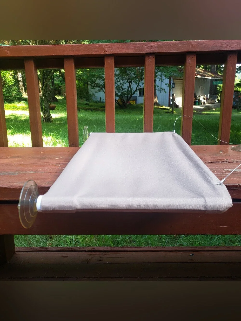 EZ Mount Cat Window Perch or Lounger - Suction Cup To Window - 24
